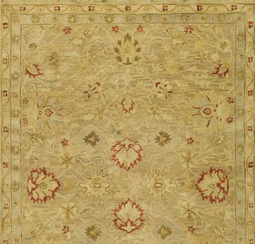 Antiquity AT822 Hand Tufted Area Rug  - Safavieh