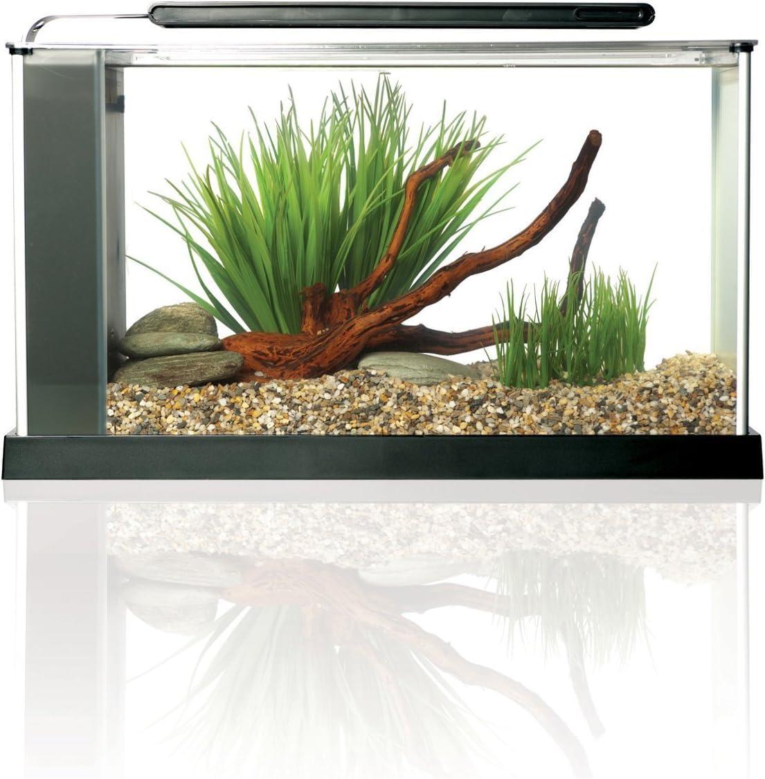 Fluval Spec V Black Aquarium Kit 5 gal.