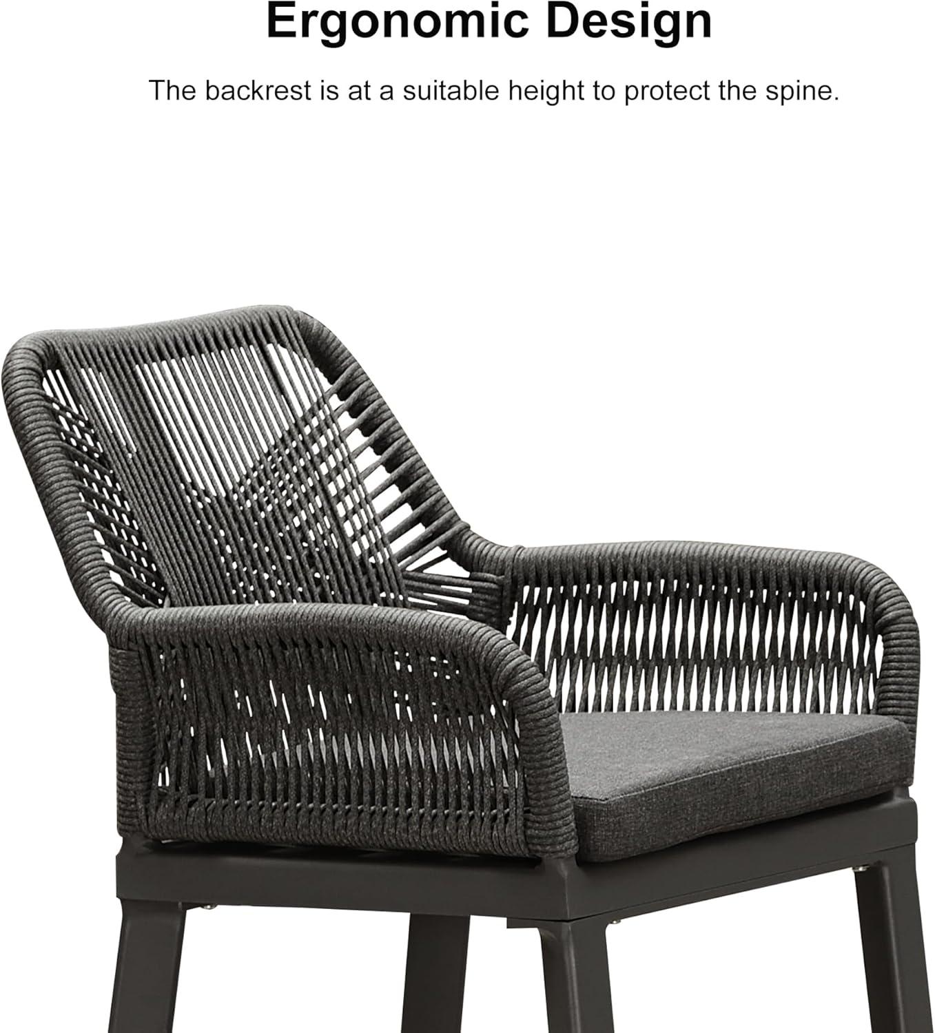 PURPLE LEAF Outdoor Wicker 29" Bar Stools Set of 2, Boho Patio Bar Height Chair with Cushion and Back for Outdoor and Indoor, Garden, Patio, Smoke Grey