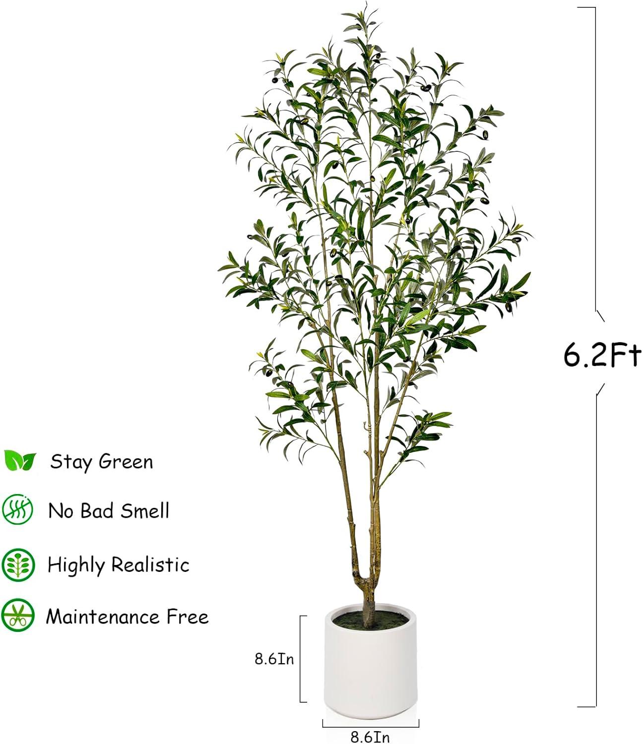 LOMANTO Artificial Olive Trees, 6 ft Tall Fake Olive Trees for Indoor, Faux Olive Silk Tree, Large Olive Plants with White Planter for Home Decor and Housewarming Gift, 1 Pack