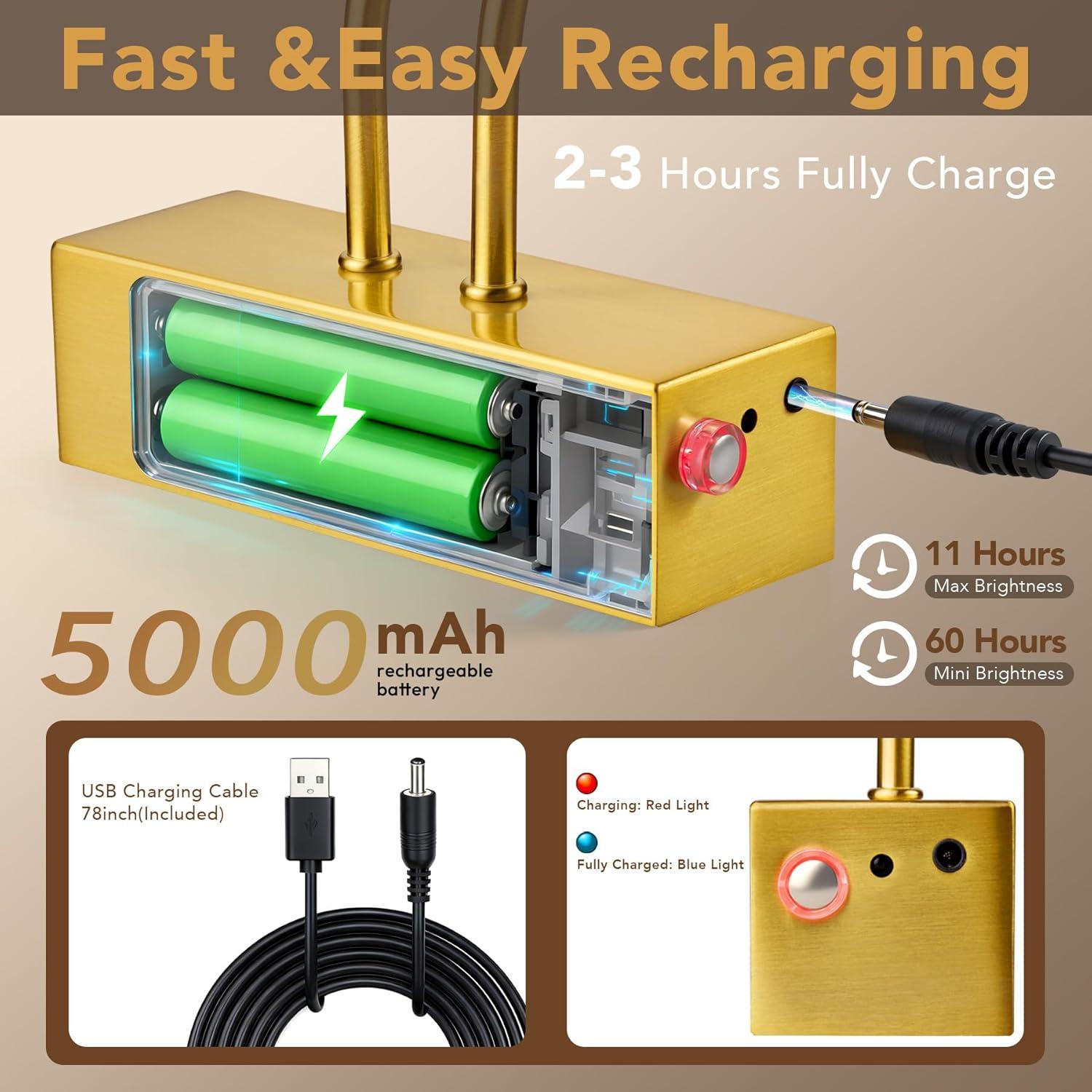 Picture Light,  Battery Operated Picture Lights For Paintings,Metal Remote Control Display Art Light With Timer And Dimmable For Wall Painting,Frame, Portrait, Dartboard-Brass