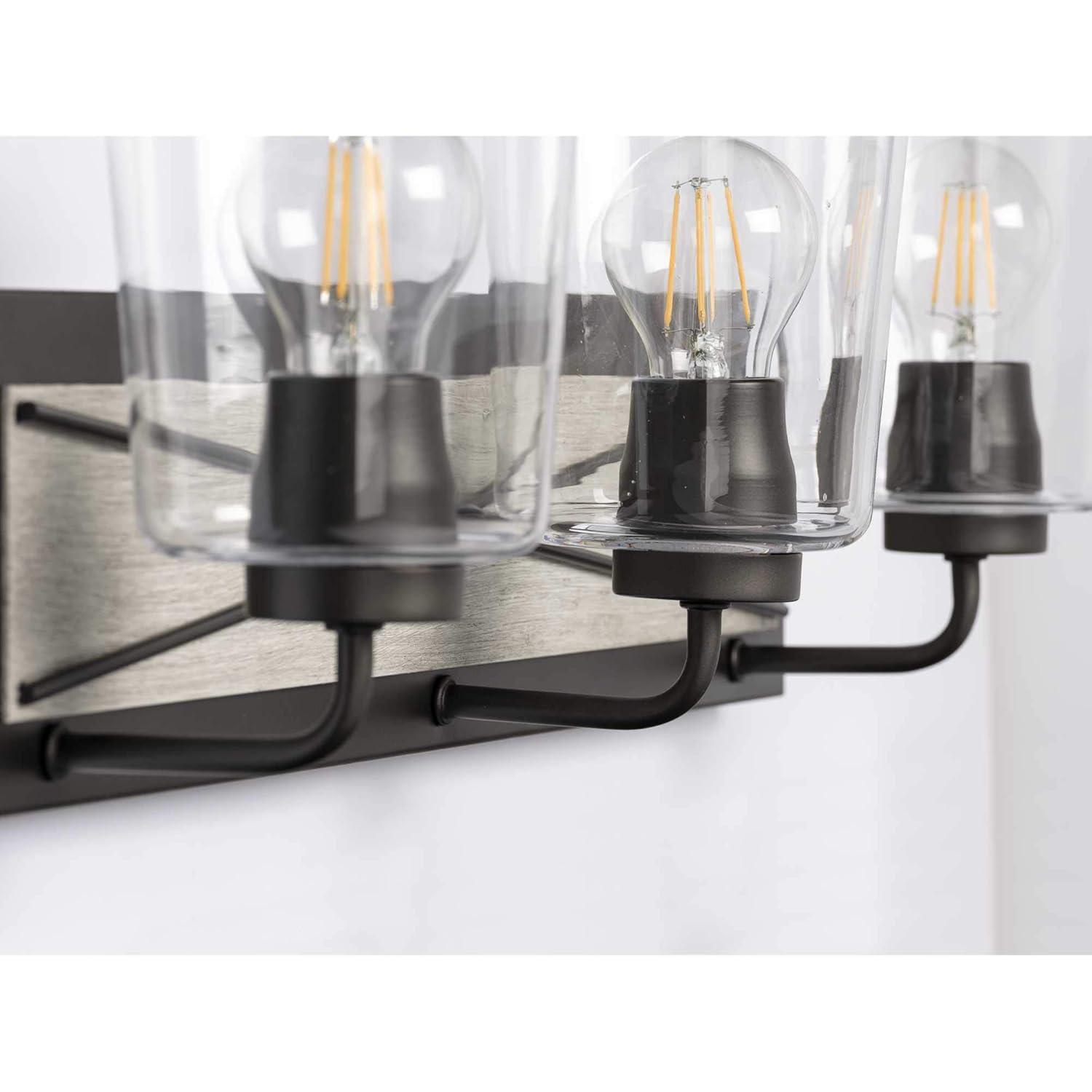 Progress Lighting Briarwood 3-Light Bath Vanity in Graphite with Clear Glass Shades