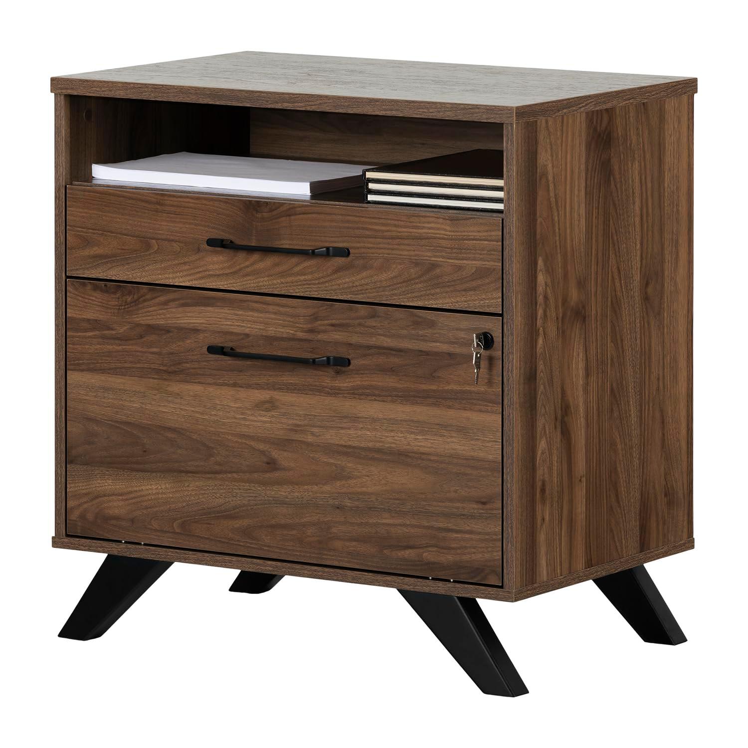 Ivy Bronx Boneita 29'' Wide 2 -Drawer File Cabinet