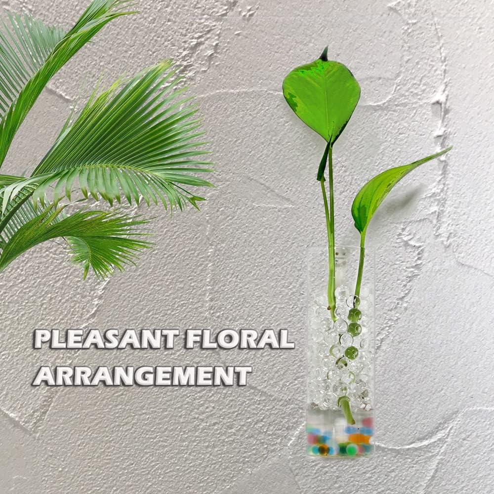 Bunhut Wall Hanging Glass Plant Terrarium (2 Count)