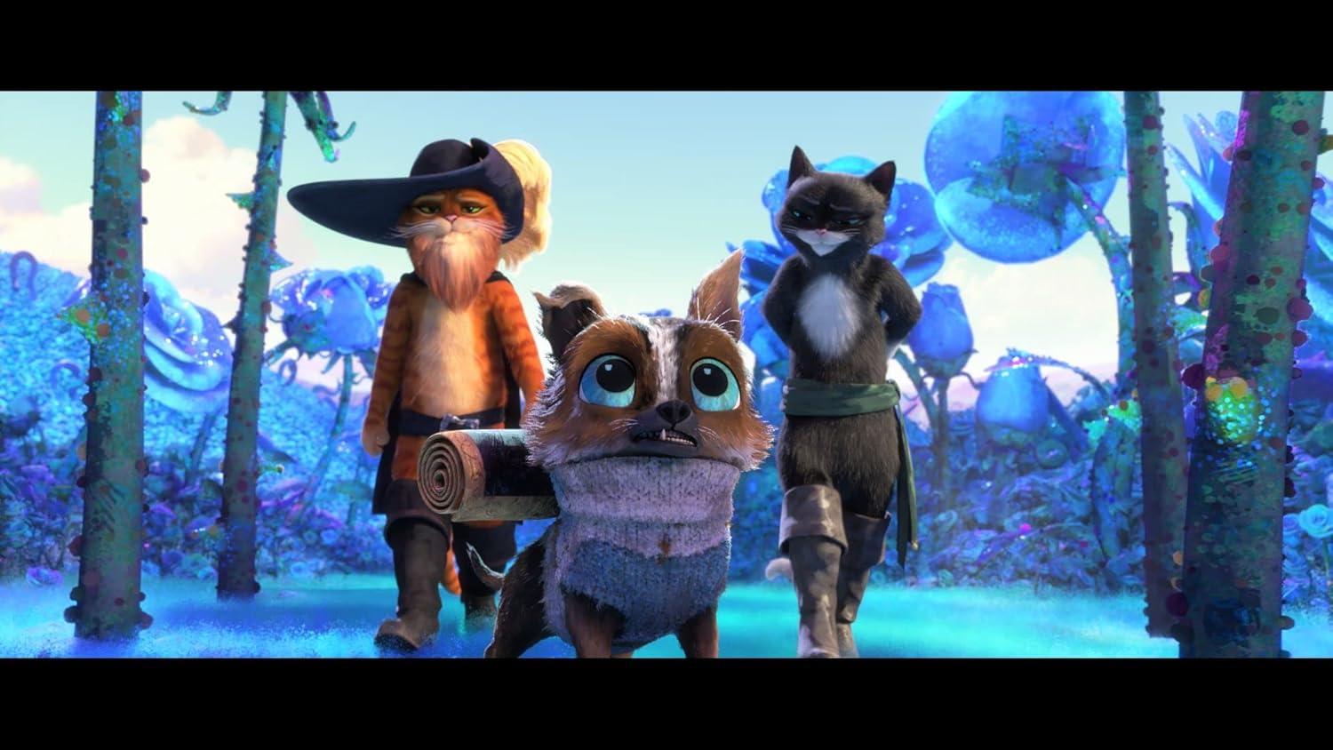 Puss in Boots the Last Wish (Blu-ray)