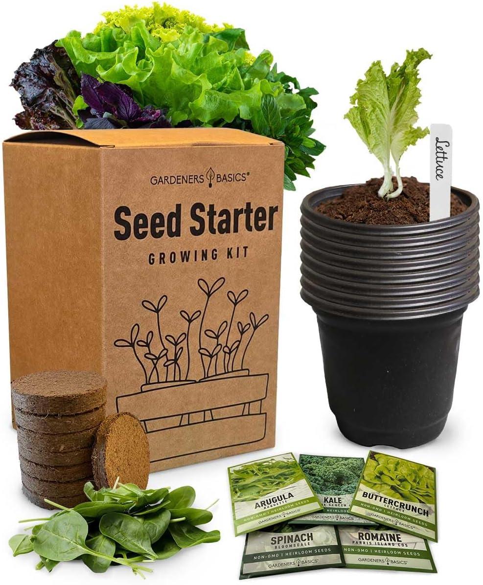 Black Indoor/Outdoor Vegetable Garden Starter Kit with Tools and Seeds