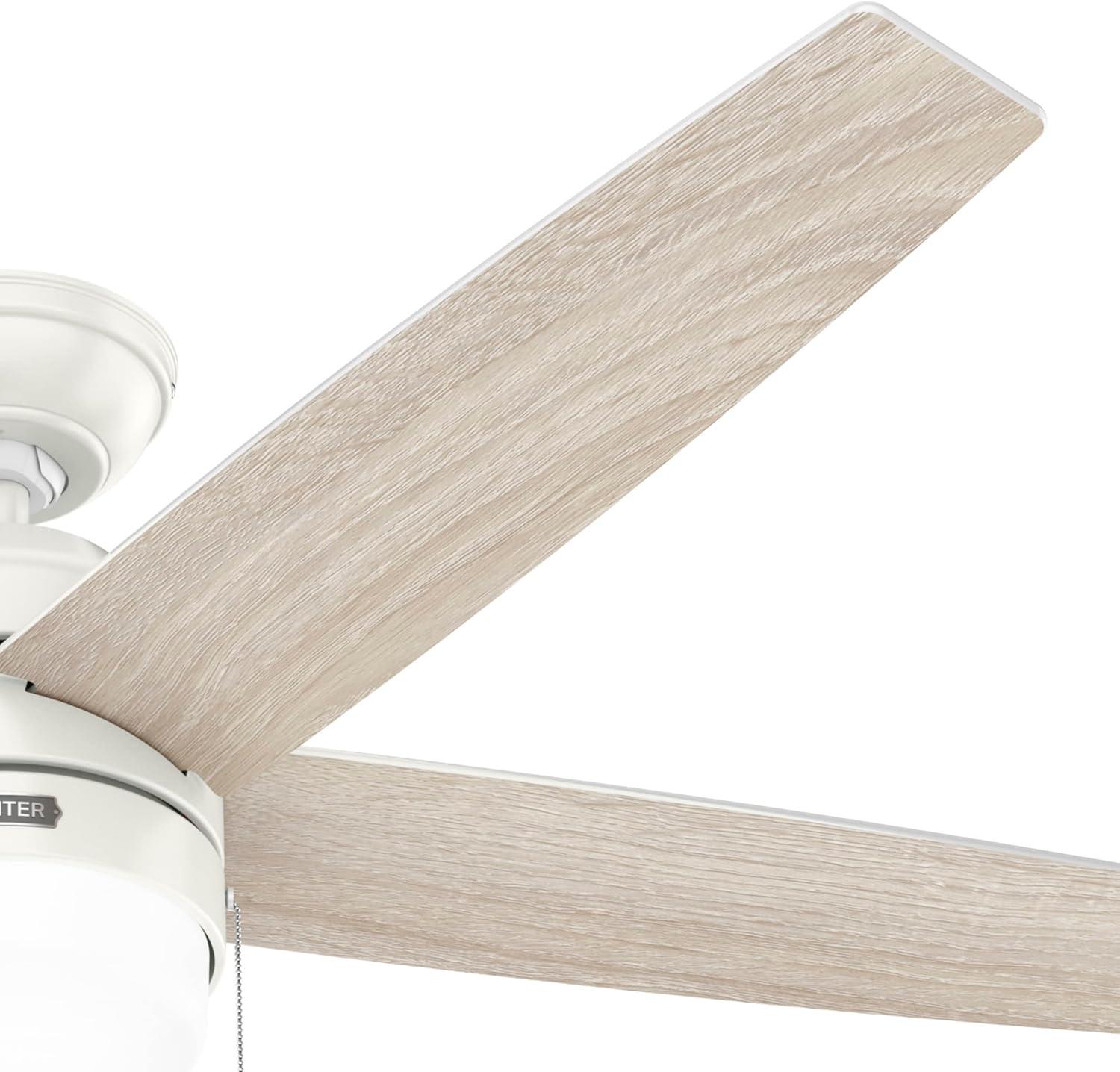 Bardot 52" 5 - Blade Ceiling Fan With Lights and Pull Chains