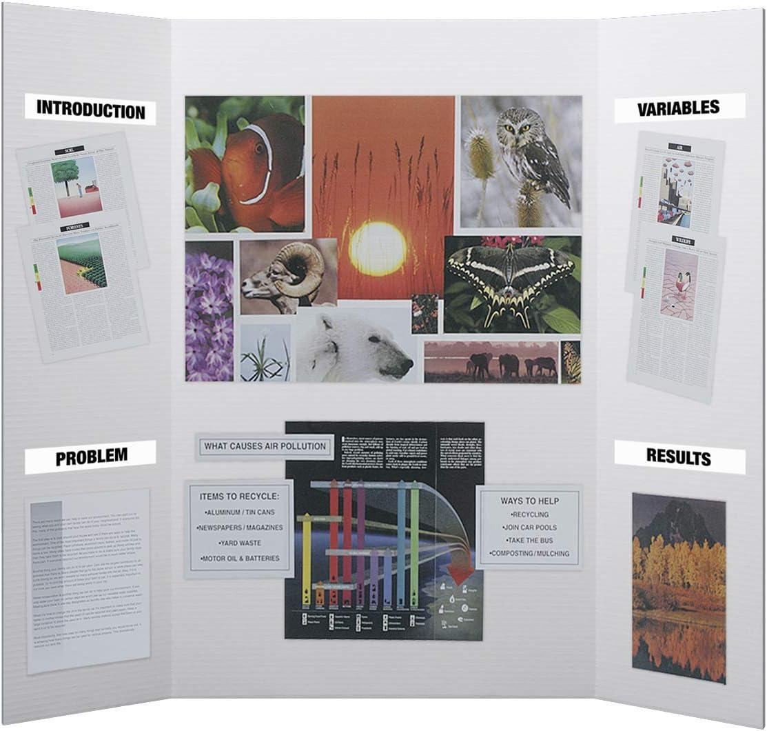 Flipside Products Flipside Products Freestanding Booth Display (Set of 10)