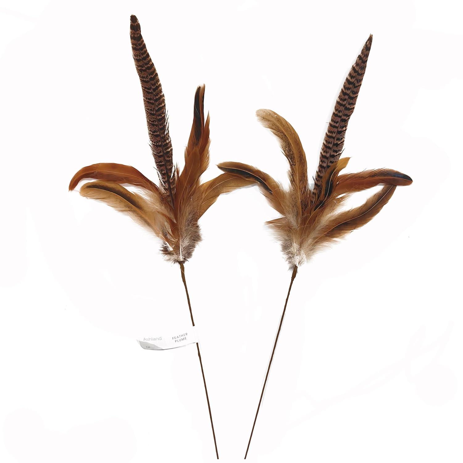 Pheasant Feather Picks by Ashland®