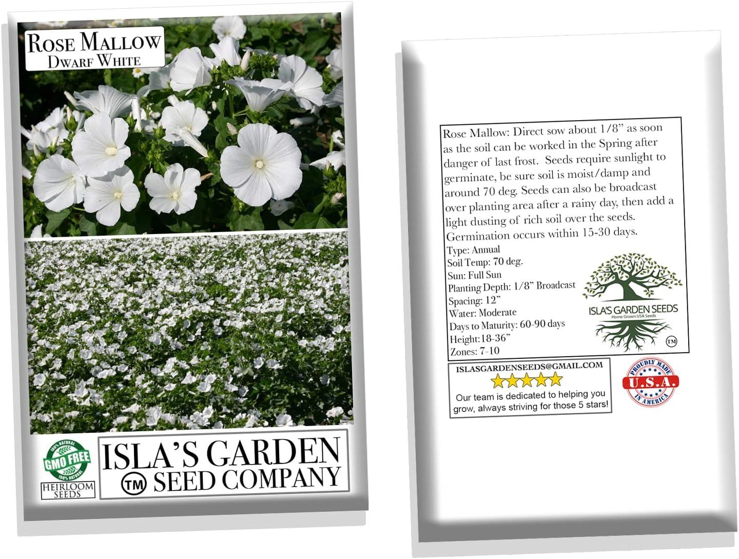 Dwarf White Rose Mallow Flower Seeds for Planting, 100+ Seeds Per Packet, (Isla's Garden Seeds), Non GMO & Heirloom Seeds, Botanical Name: Lavatera Trimestris, Great Home Garden Gift