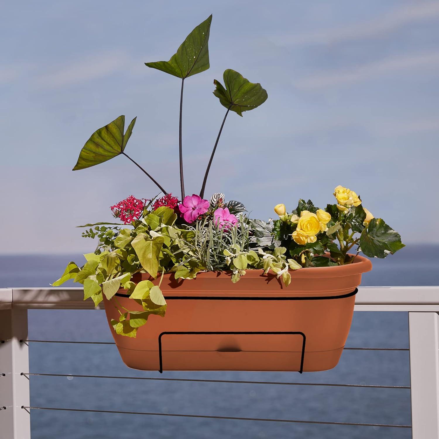 Bloem 7.5 in. H X 9.13 in. W X 18 in. D Resin Lucca Window Box Terracotta