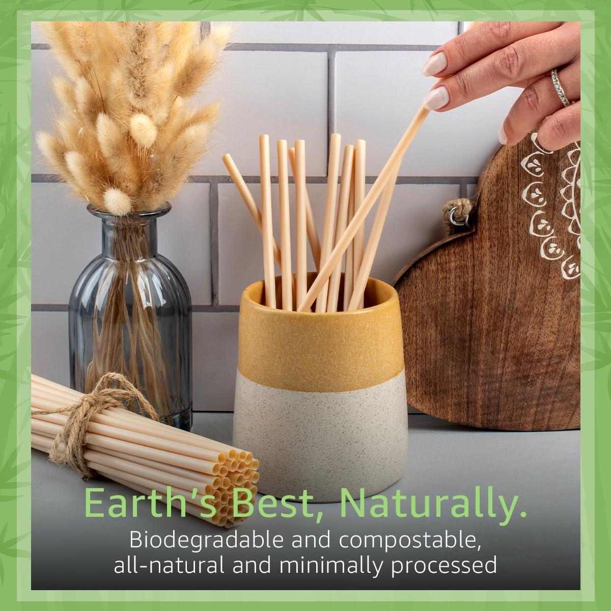 Ibambo Bamboo Straws - Disposable Eco-Friendly Sippers