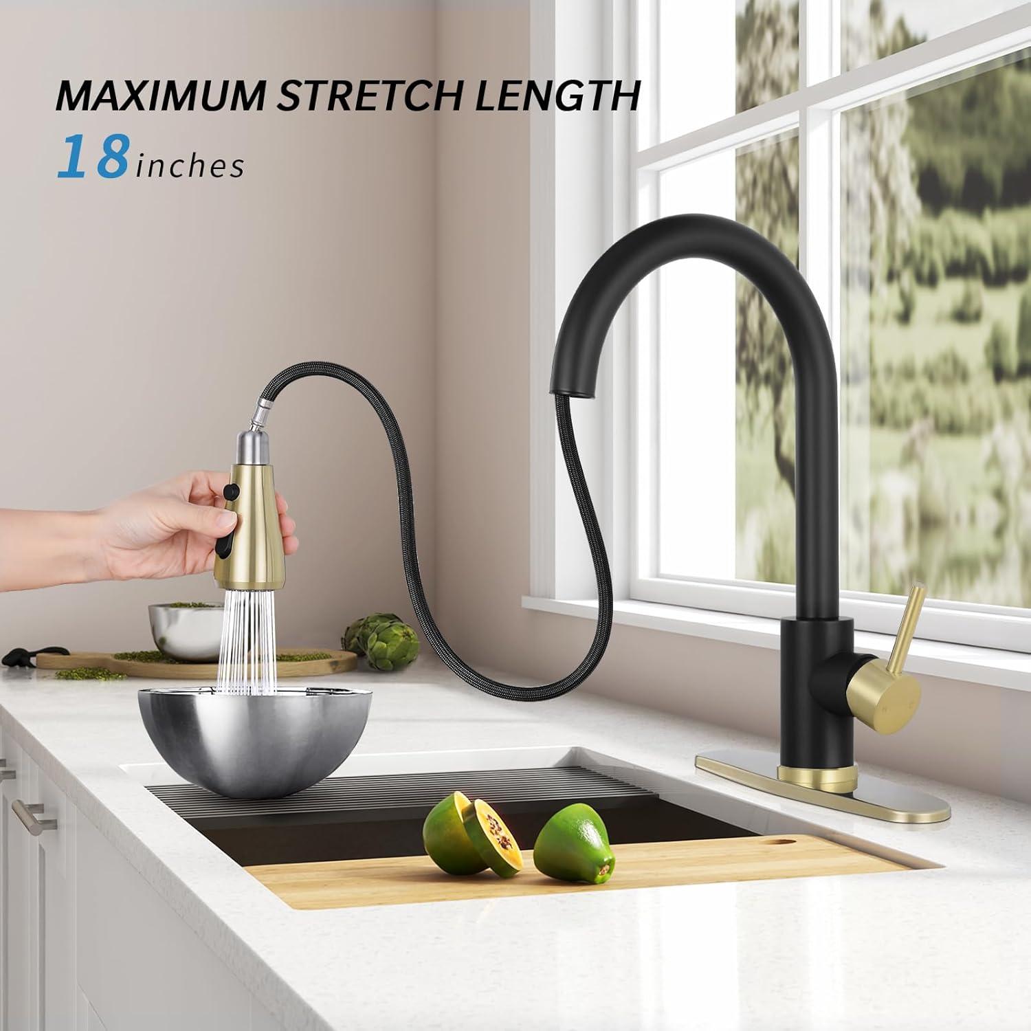 VIBRANTBATH Pull Out Kitchen Faucet