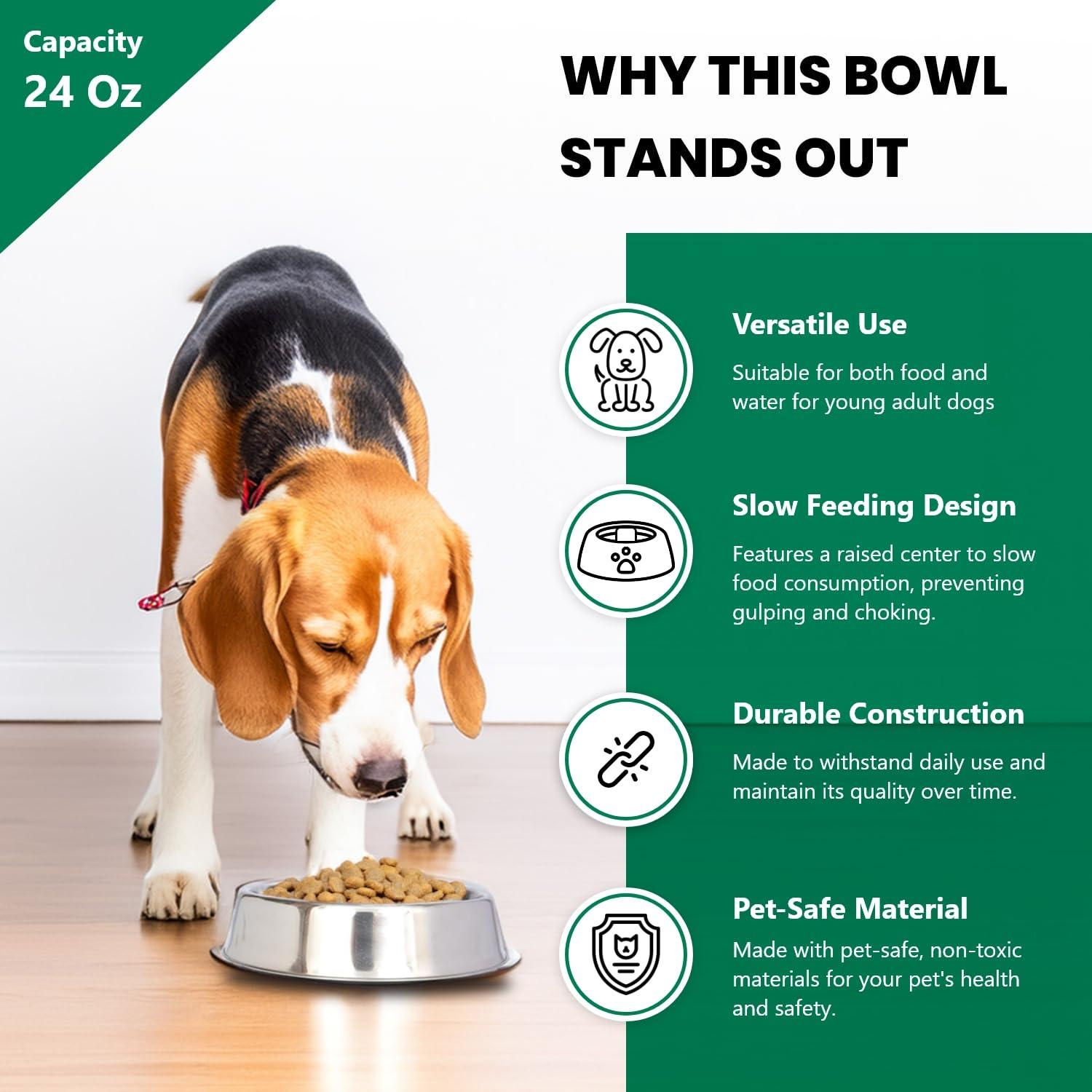 CosmoLiving by Cosmopolitan Anti Ant Pet Single Bowl