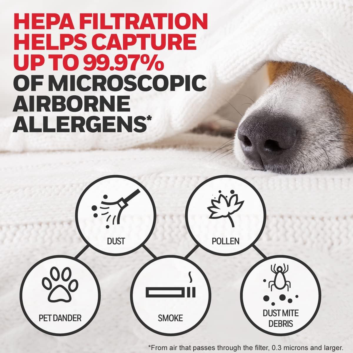 Honeywell HEPA Air Purifier Filter Value Kit with A and R Filters: Replacement for HPA200, HPA3100B, Captures Allergens