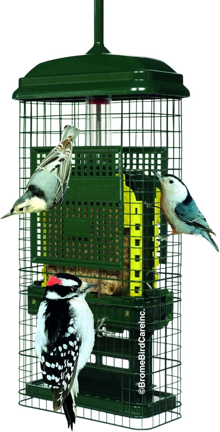 Brome Bird Care Squirrel Buster Truly Squirrel-Proof Suet Feeder (Green)