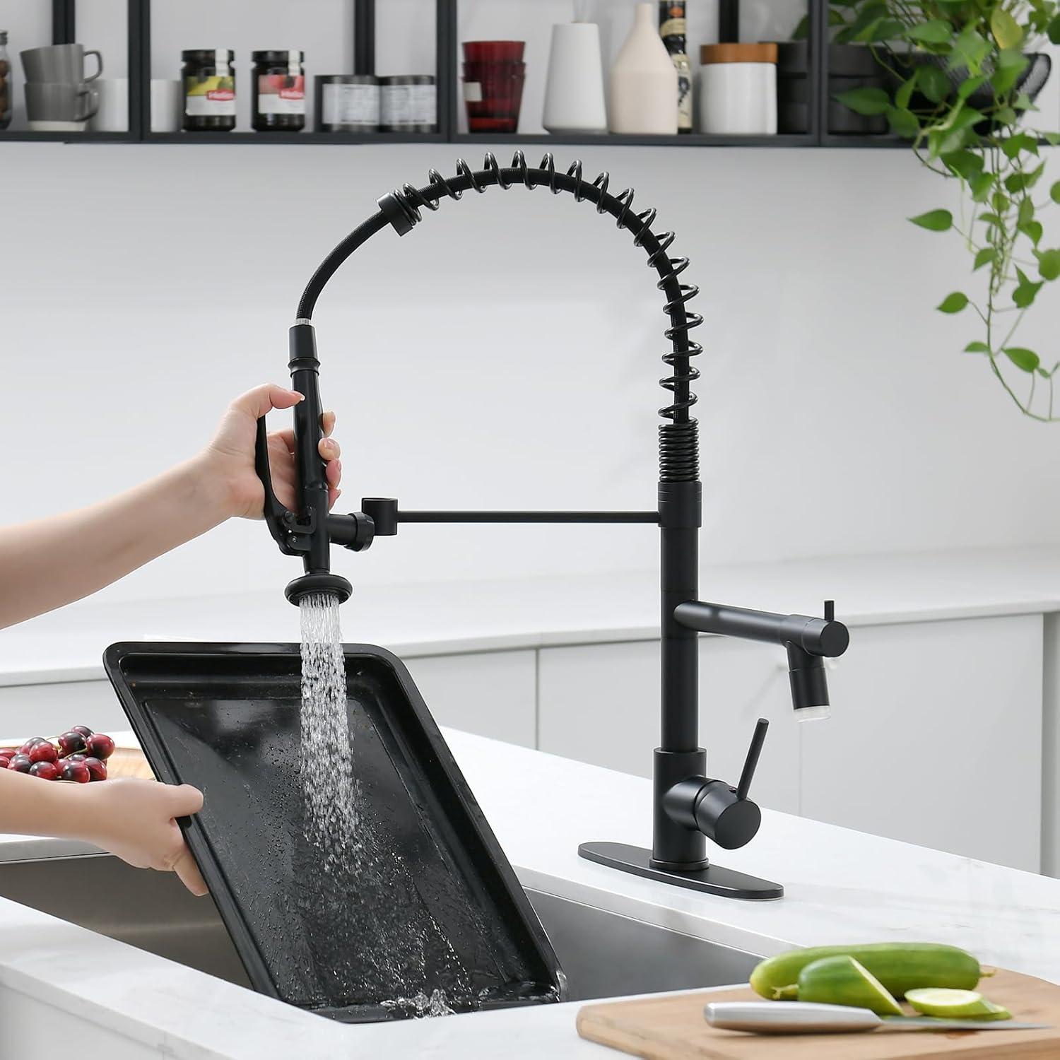 Fapully Pull Down Kitchen Faucet