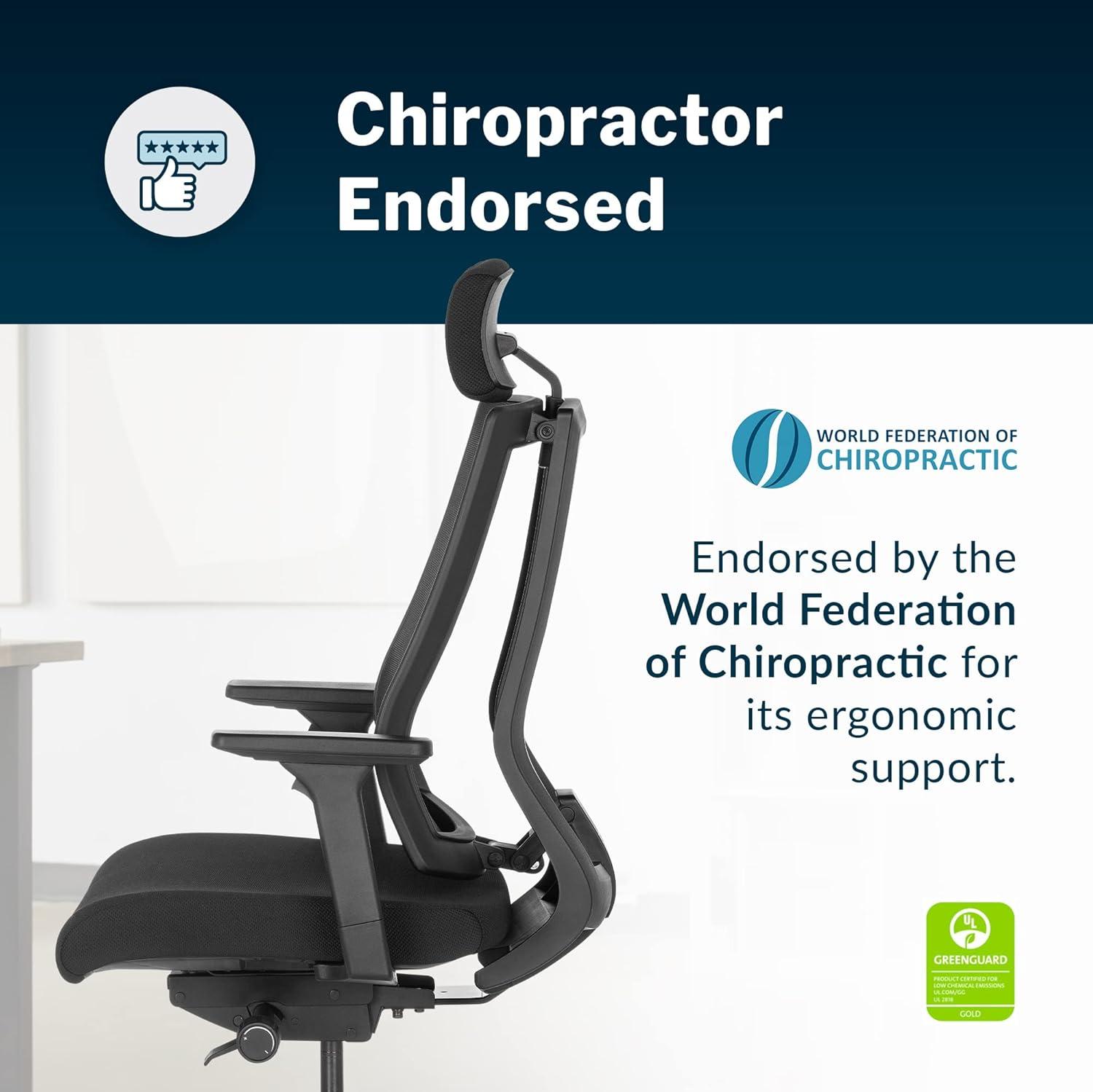 Vari Task Chair- Varidesk Comfortable Ergonomic Office Chair with Mesh, Armrests and Rolling Casters - Easy Assembly, 300lb Capacity - Lumbar and Back Support - Home Office Chair- Black