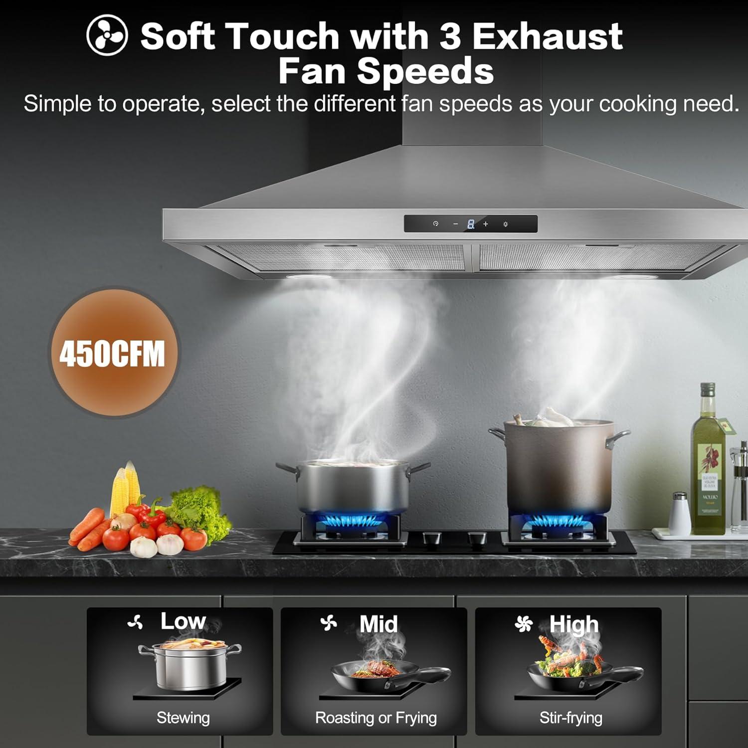 30" 450 CFM Convertible Wall Mount Range Hood in Stainless Steel