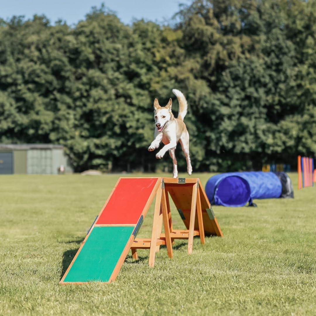 TRIXIE Dog Agility Dogwalk, Canine Agility Training, Obedience Training