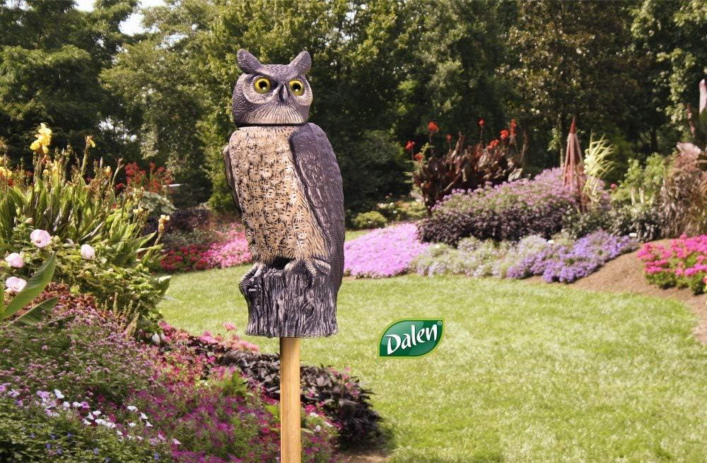 Dalen Scarecrow Owl Animal Repellent Decoy For All Pests