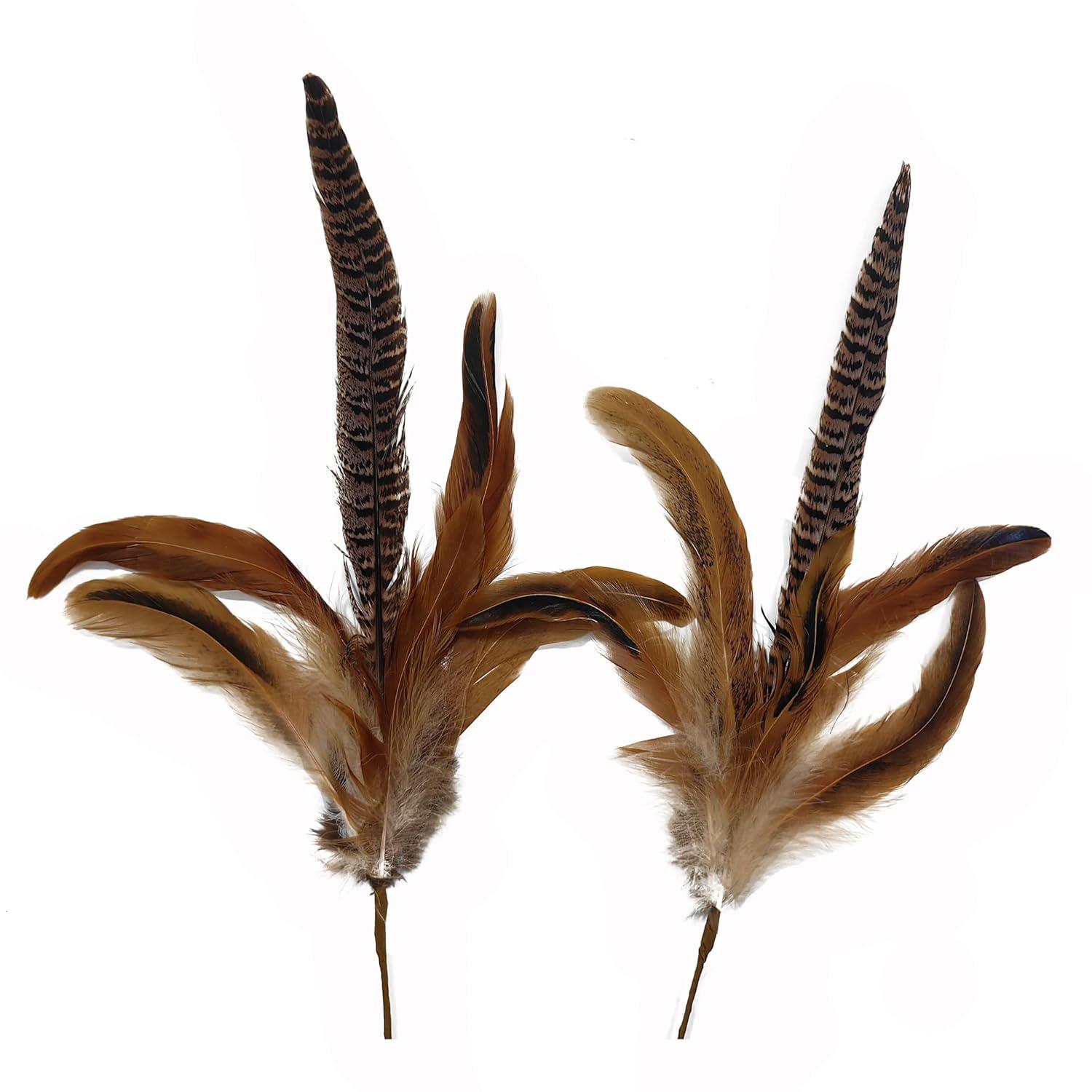 Pheasant Feather Picks by Ashland®