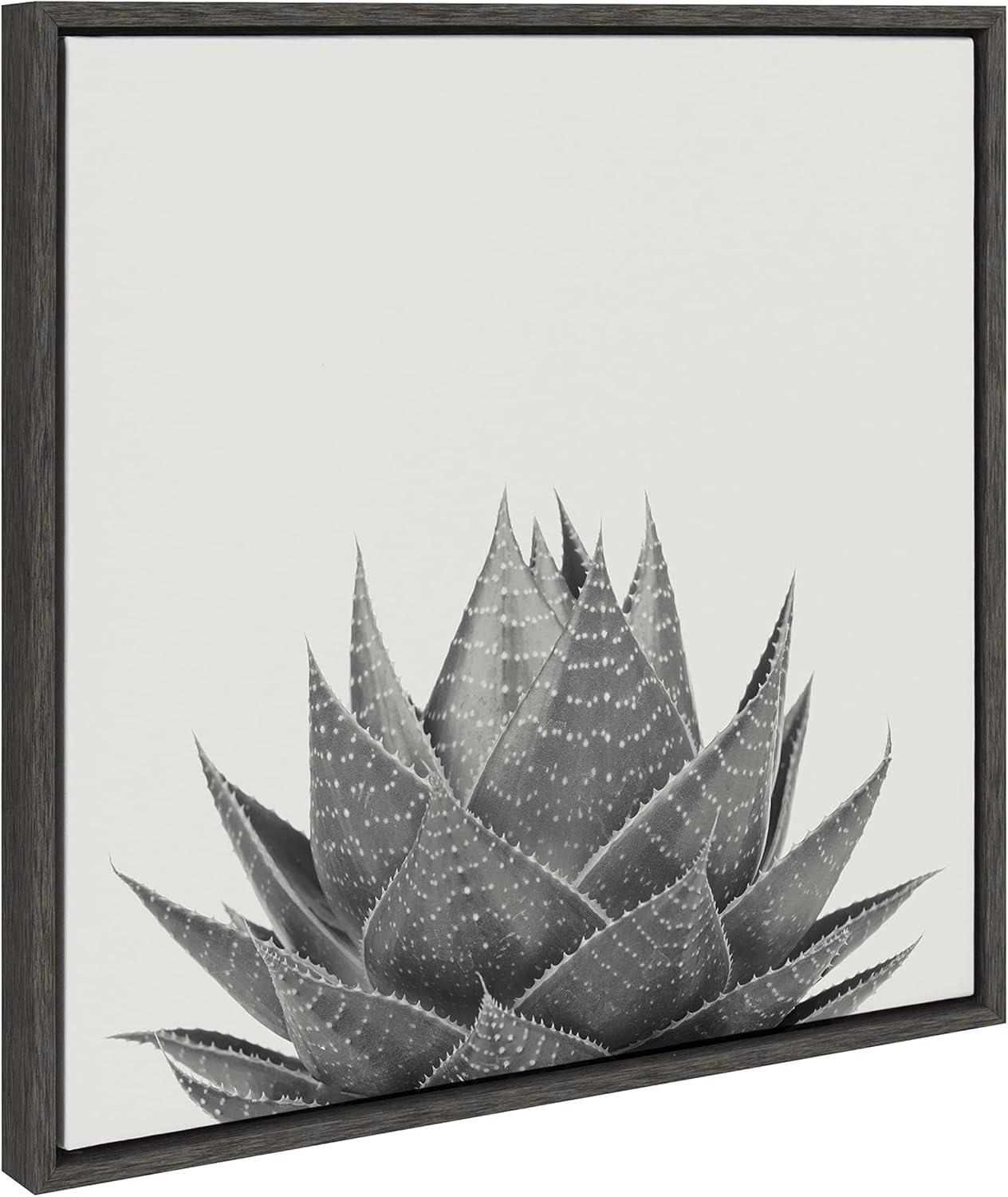 22" Gray Framed Aloe Succulent Canvas Print