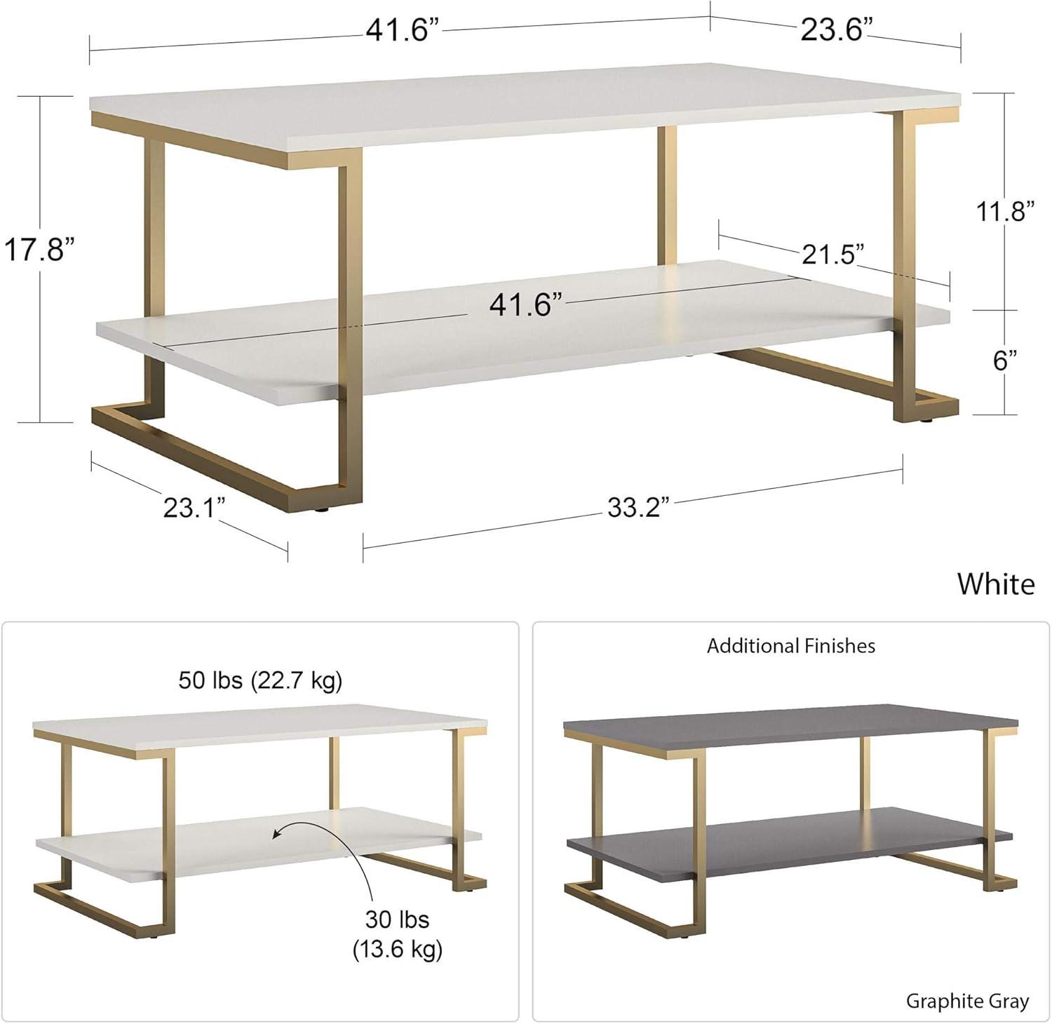 Camila Sled Coffee Table with Storage