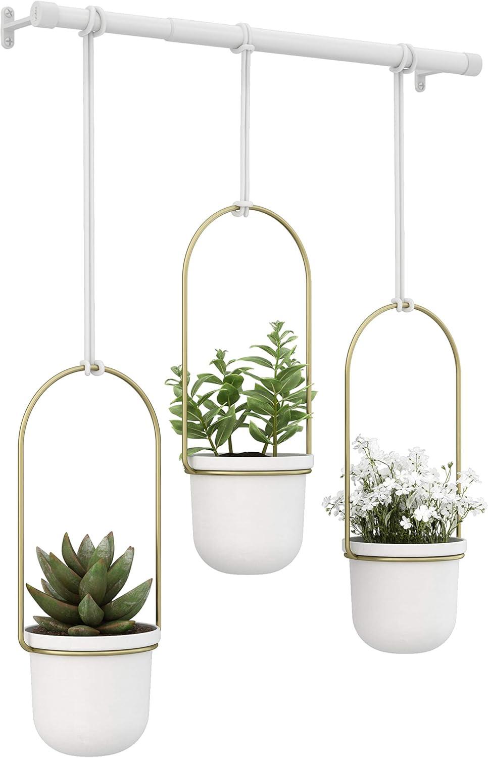 Umbra Triflora 3 Hanging Wall Planter