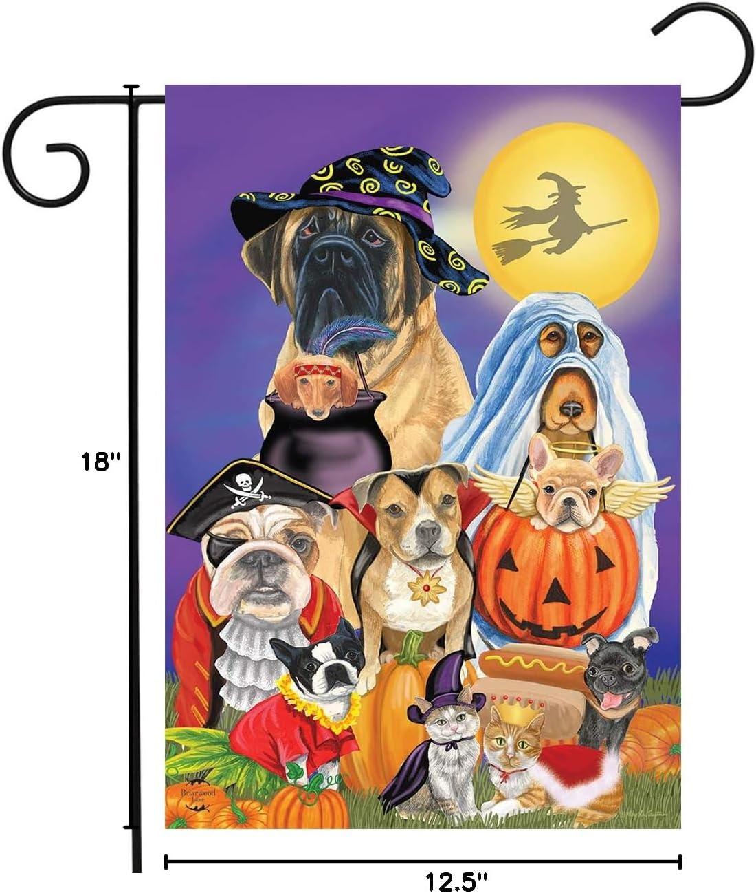 Briarwood Lane Garden Flag 12x18 For Outdoor Trick Or Treat Dogs Halloween For Halloween Garden Flag Flags For Outside