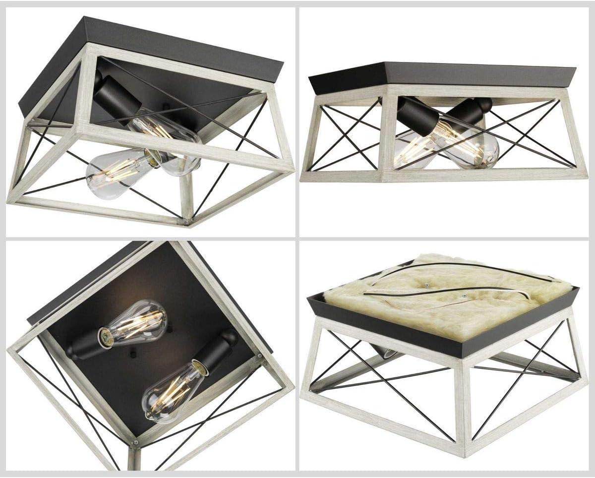 Progress Lighting Briarwood 2-Light Flush Mount, Graphite Finish, Faux-Painted Wood Enclosure, Canopy Included