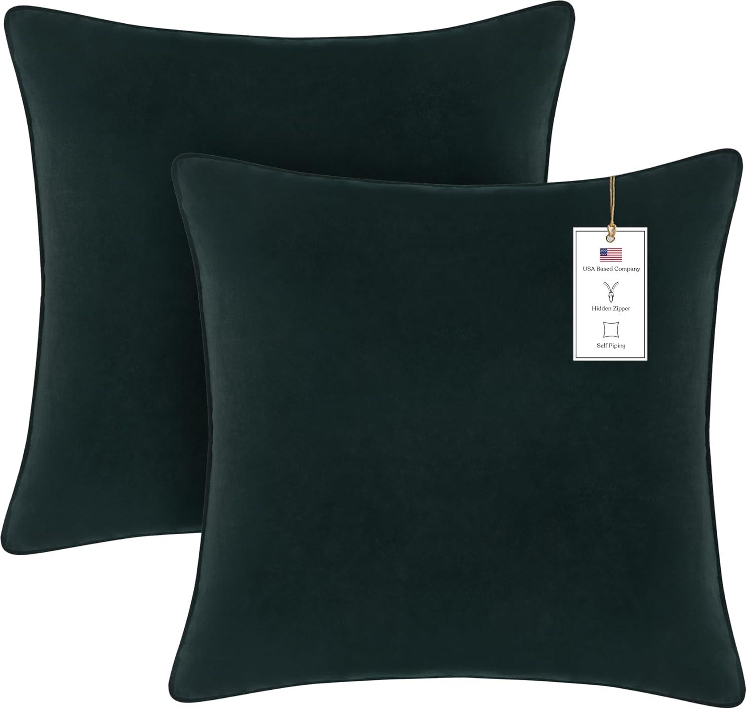 A1 Home Collections LLC Velvet Pillow Cover (Set of 2)