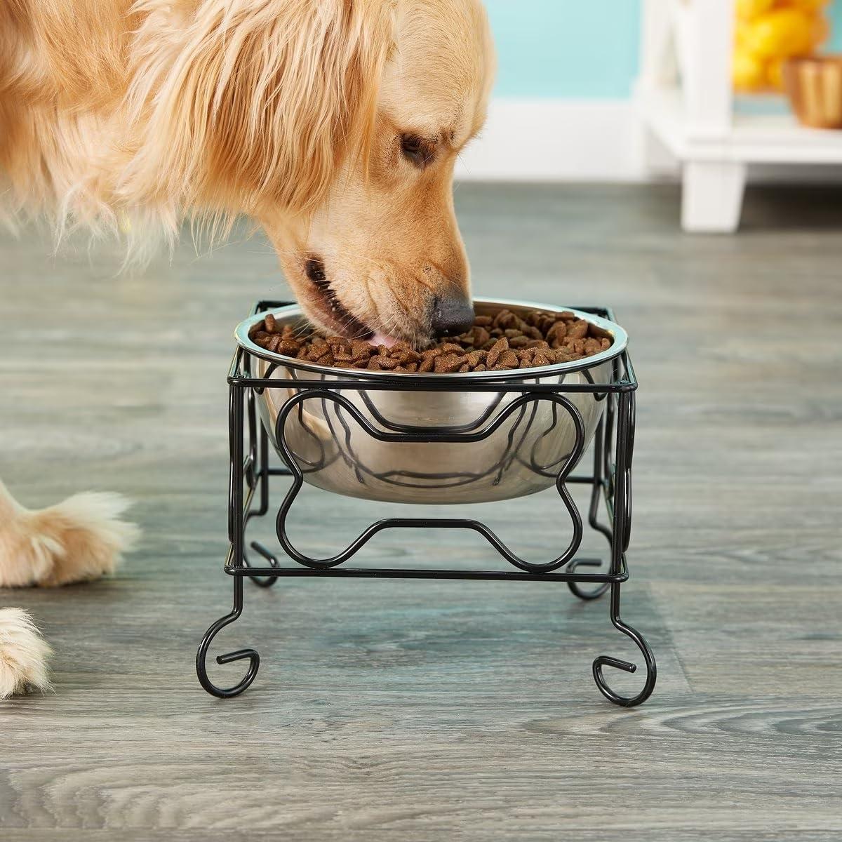 YML 5-Inch Wrought Iron Stand with Single Stainless Steel Feeder Bowl