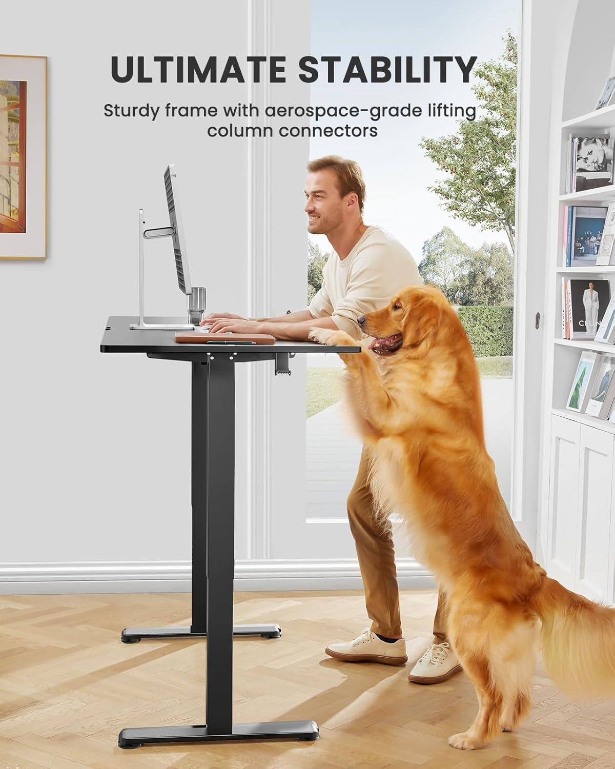 Height Adjustable Electric Standing Desk, 48 x 24 Inches Sit Stand up Desk, Memory Computer Home Office Desk (Black)