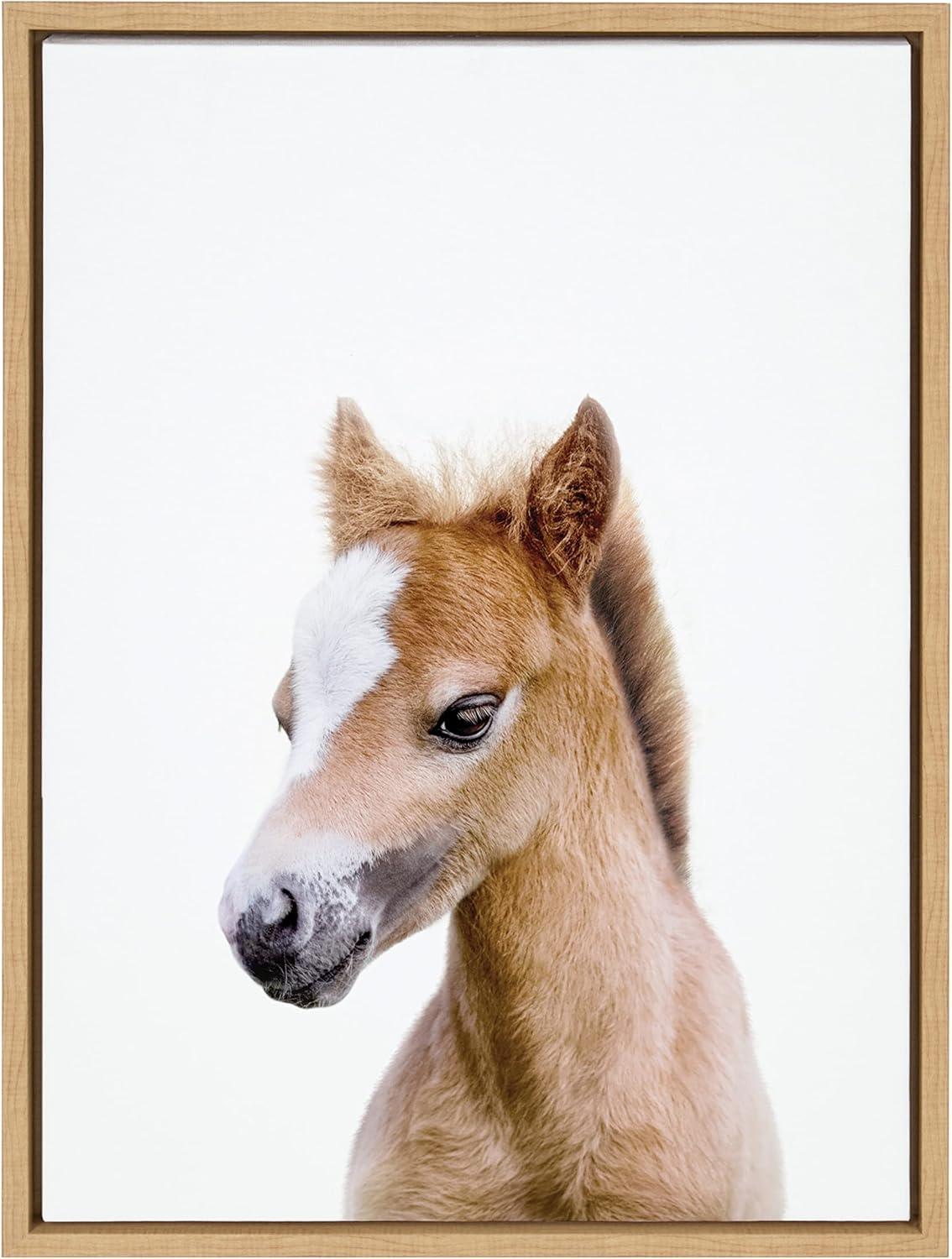 18" x 24" Sylvie Animal Studio Baby Horse Framed Canvas by Amy Peterson - Kate & Laurel All Things Decor