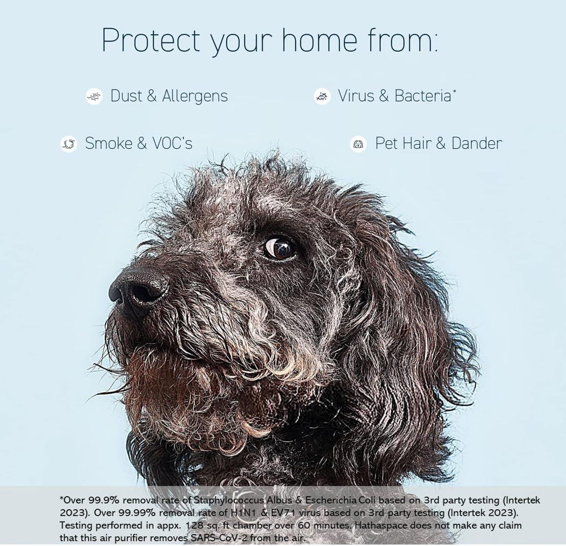 HATHASPACE HSE600 True HEPA Air Purifier for Home, Removes 99.9% of Dust, Smoke, Pet Dander, Odors, VOCs, Covers Up to 600 Sq. Ft, Quiet Air Cleaner with Smart Sensor for Bedroom & Large Rooms