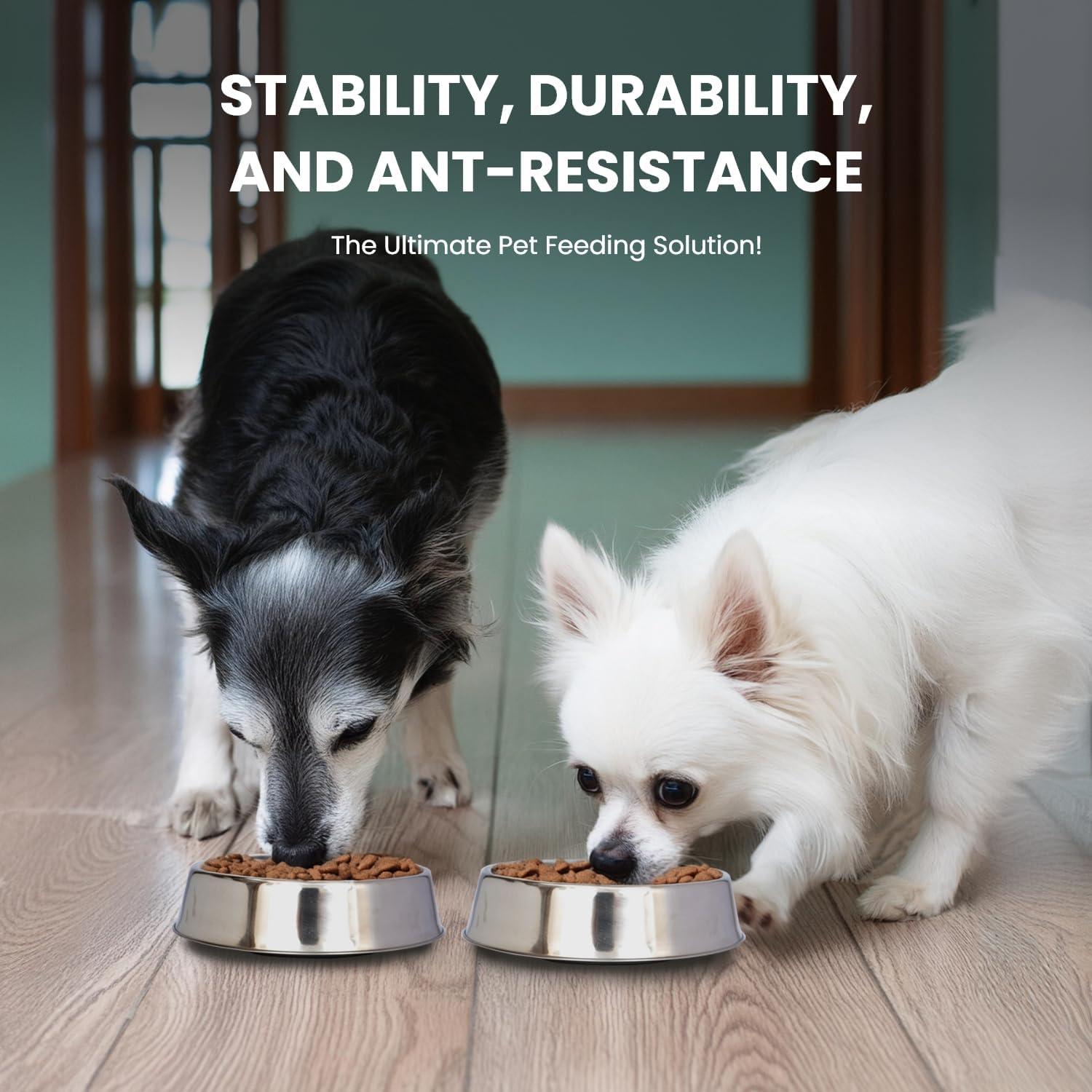 CosmoLiving by Cosmopolitan Anti Ant Pet Single Bowl
