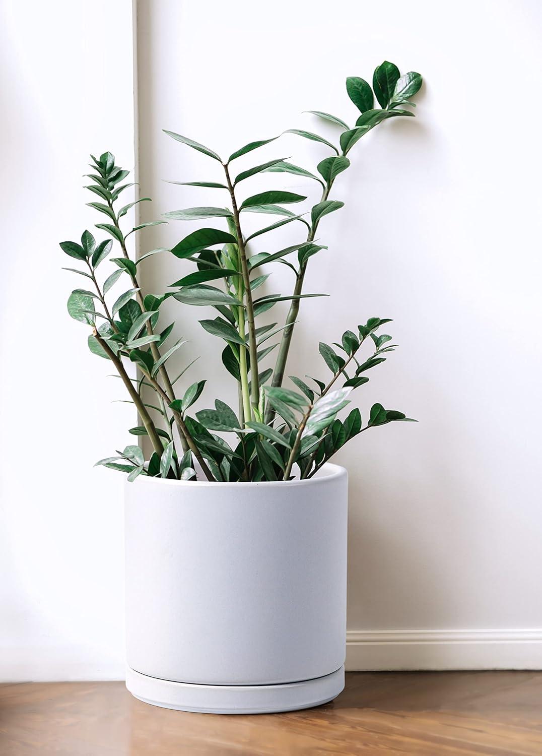 Ceramic Cylinder Planter