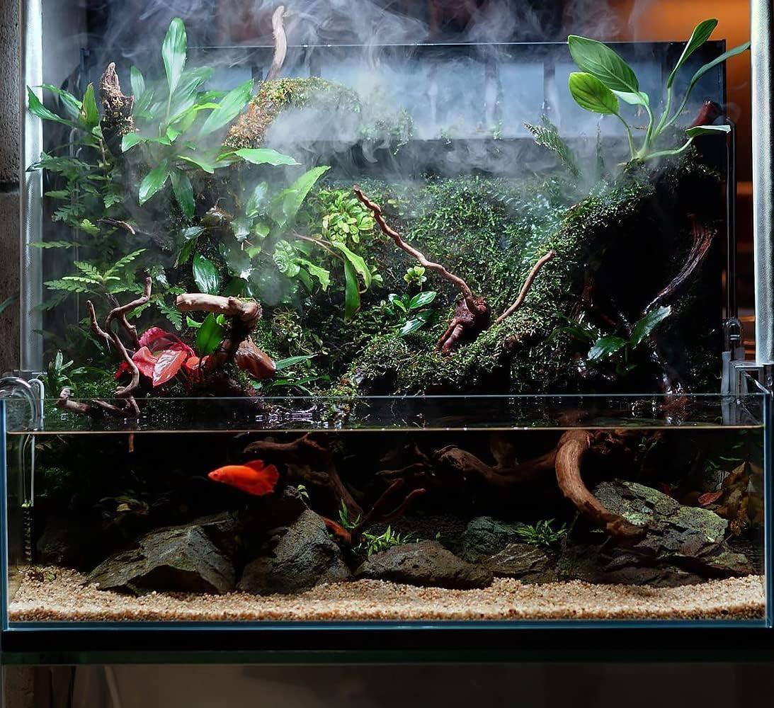 Ultum Nature Systems Atomizer Mist Maker Kit w/Lid - Fogger for Aquarium, Terrarium & Paludarium, Ultrasonic Water Mister, Aquarium Fogger, Easy to Use Smoke Maker & Versatile Fog Fountain Maker