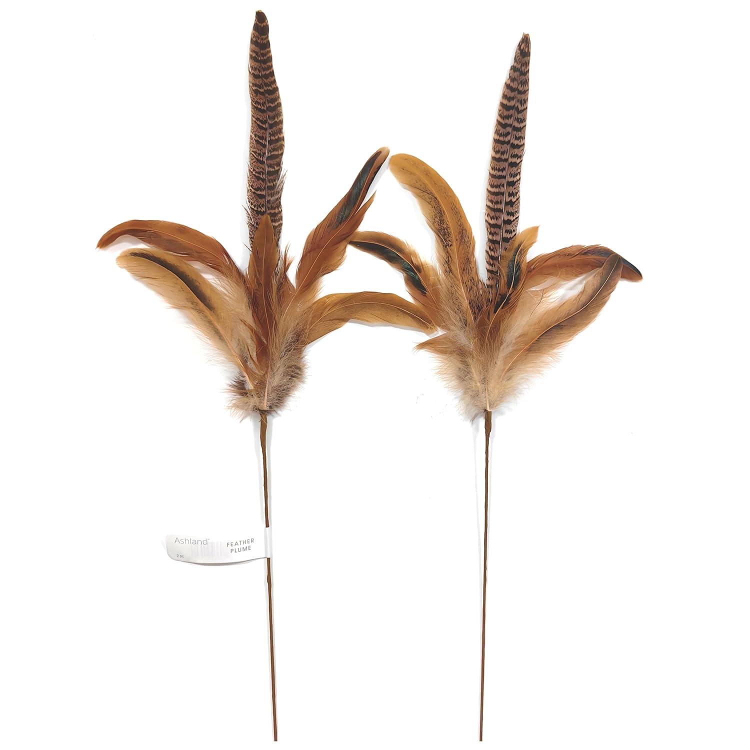 Pheasant Feather Picks by Ashland®