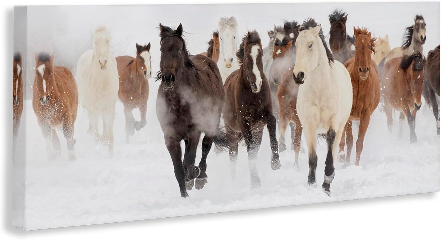 Stupell Industries Wild Horses Herd Foggy Winter Day Running Snow Painting , 30 x 13, Design by Danita Delimont