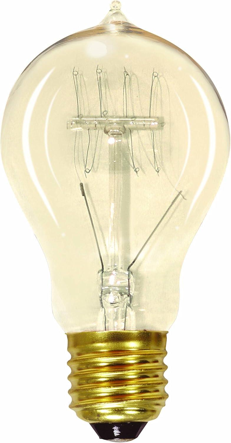 Vintage Clear Quad Loop Filament Incandescent Edison Bulb, A19