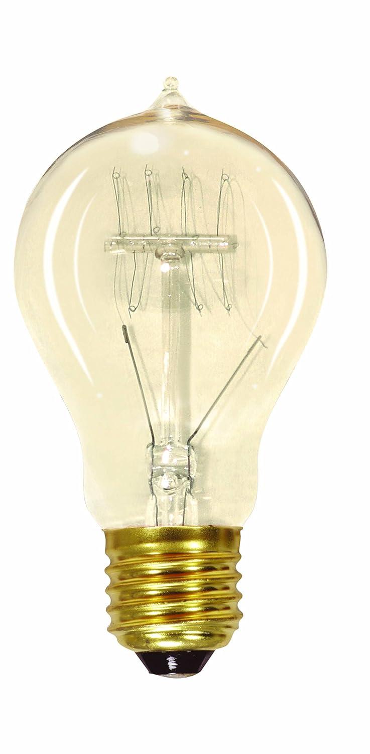 Vintage Clear Quad Loop Filament Incandescent Edison Bulb, A19