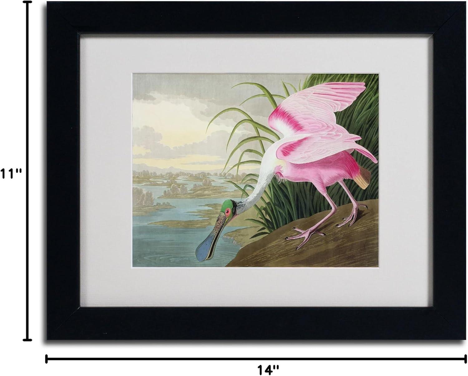 "Roseate Spoonbill" by John James Audubon Matted Framed Painting Print