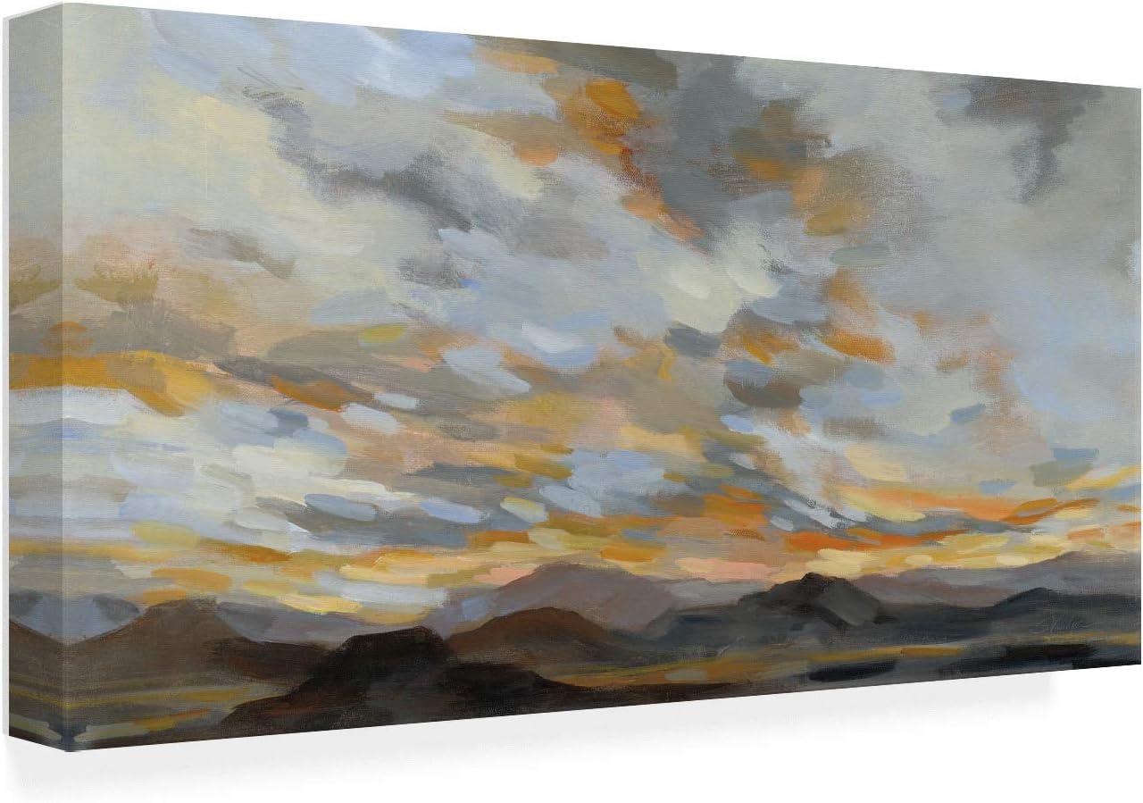 Trademark Fine Art 'High Desert Sky I' Canvas Art by Silvia Vassileva