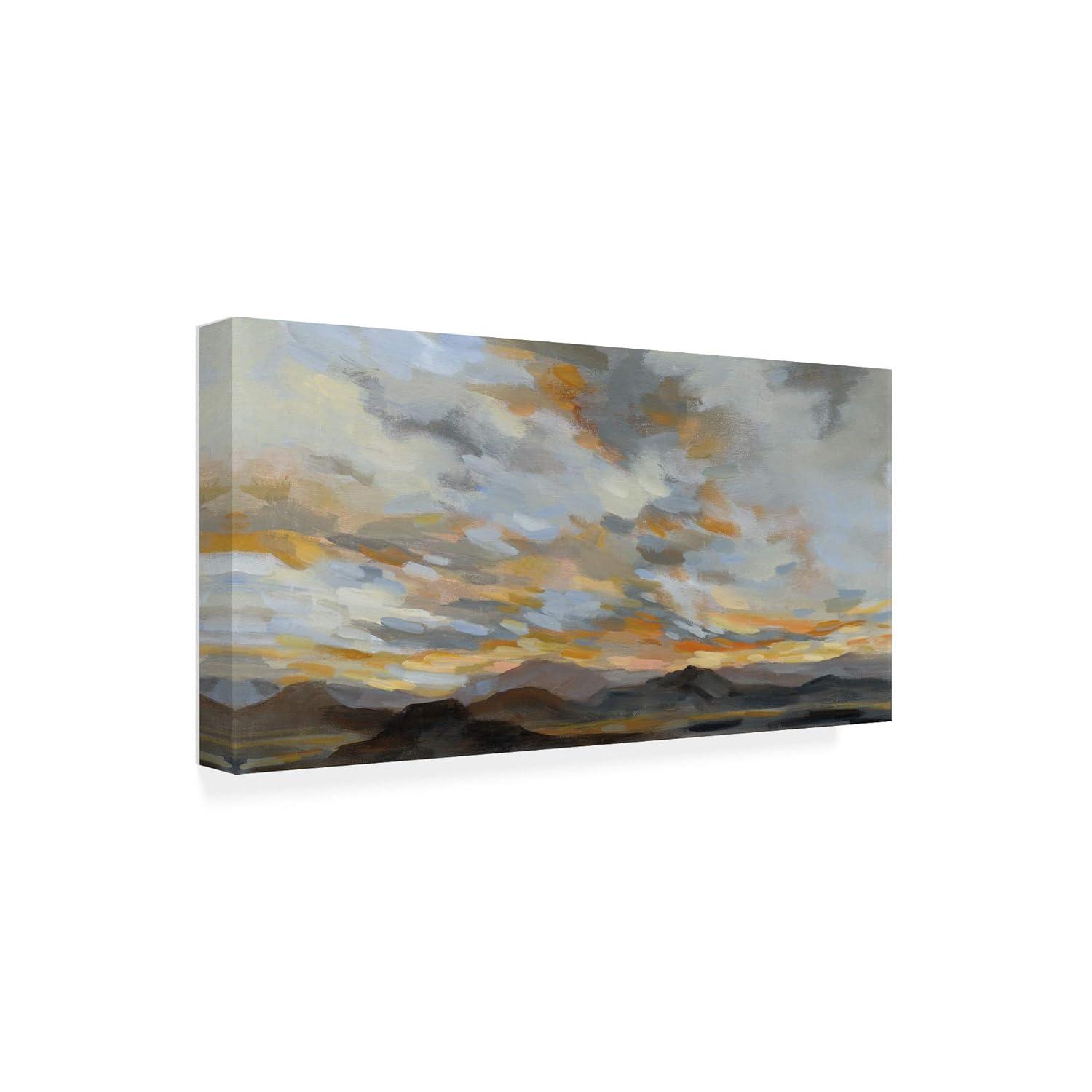 Trademark Fine Art 'High Desert Sky I' Canvas Art by Silvia Vassileva