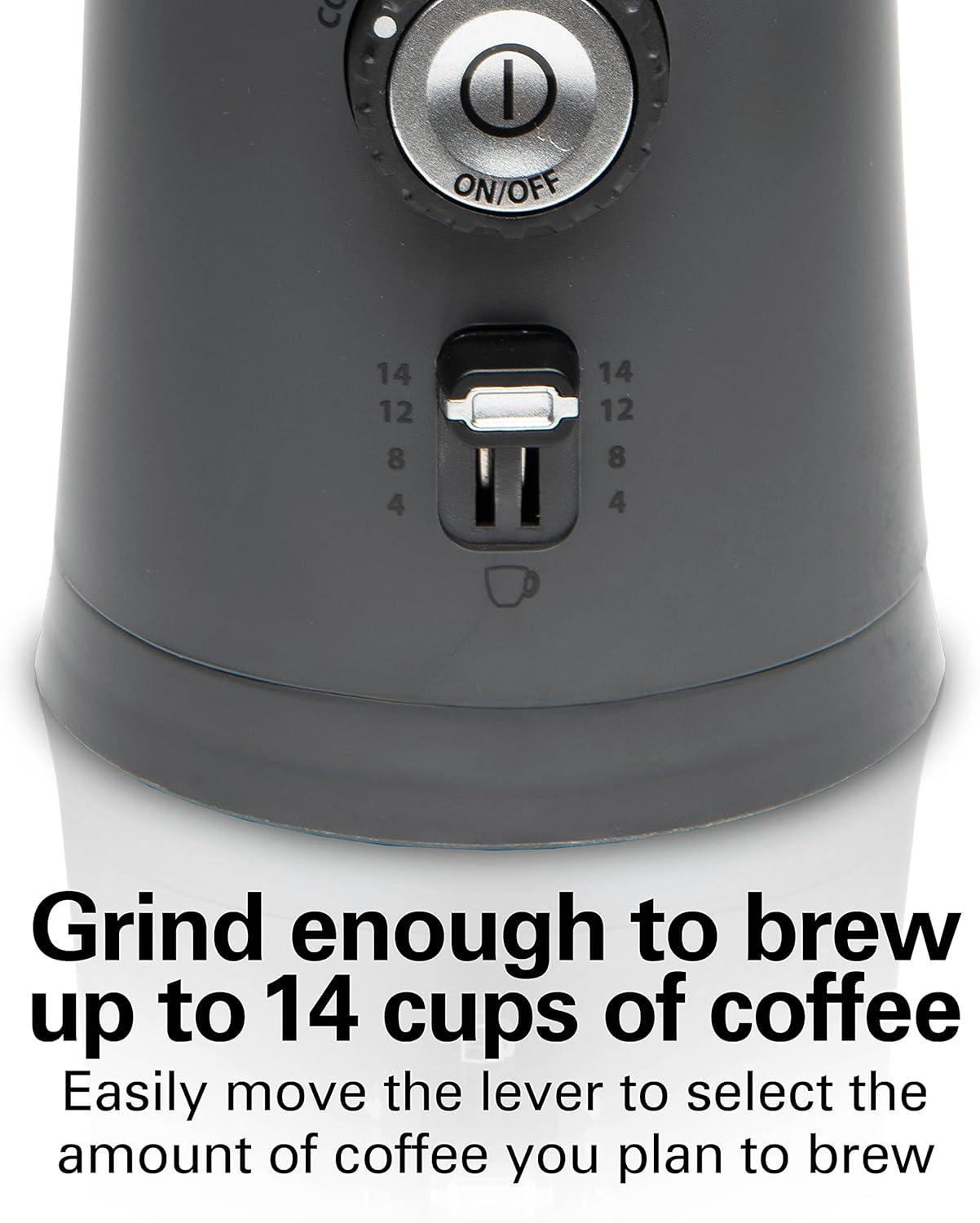 Hamilton Beach Gray Electric Coffee Grinder with Adjustable Grind