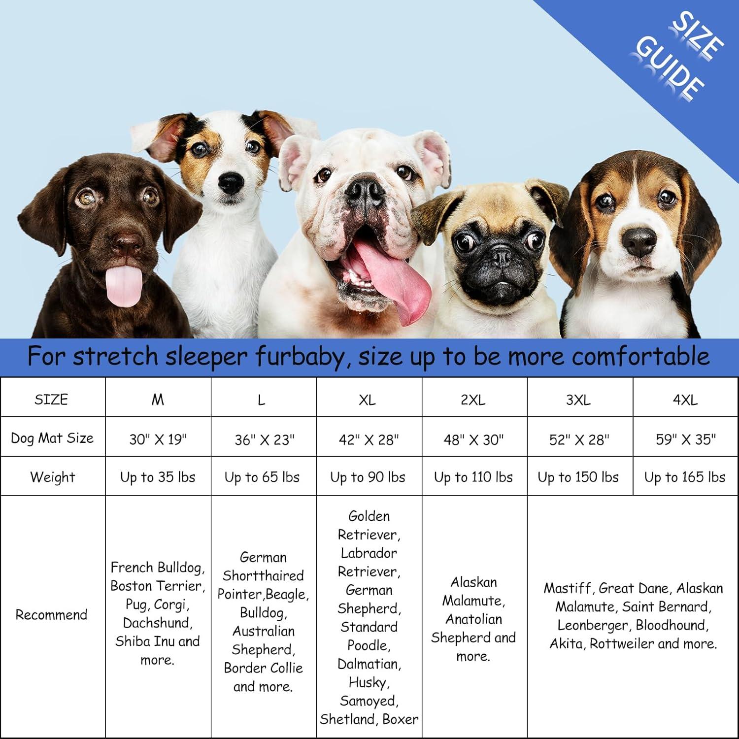 Paw Inspired Washable Padded 42" Crate Mats for Dogs | 41" x 28" Size, Fits 42-inch Kennels | Anti-Slip, Leakproof, Waterproof, Reusable Plush Pet Pads (Gray)