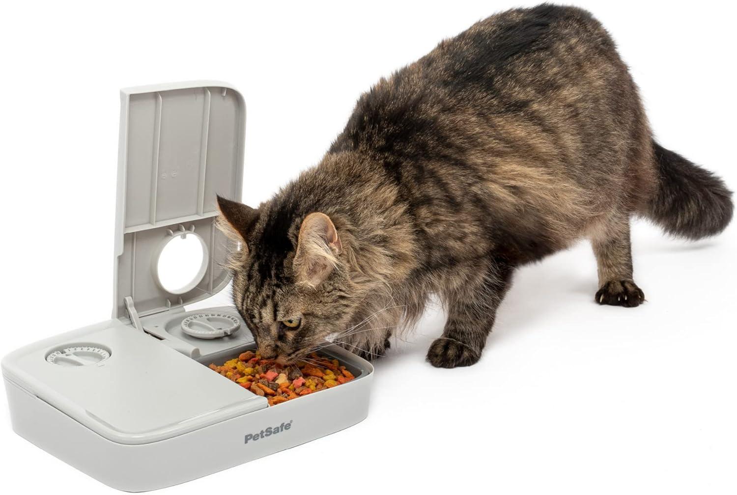 Gray 24oz Automatic 2-Meal Pet Feeder