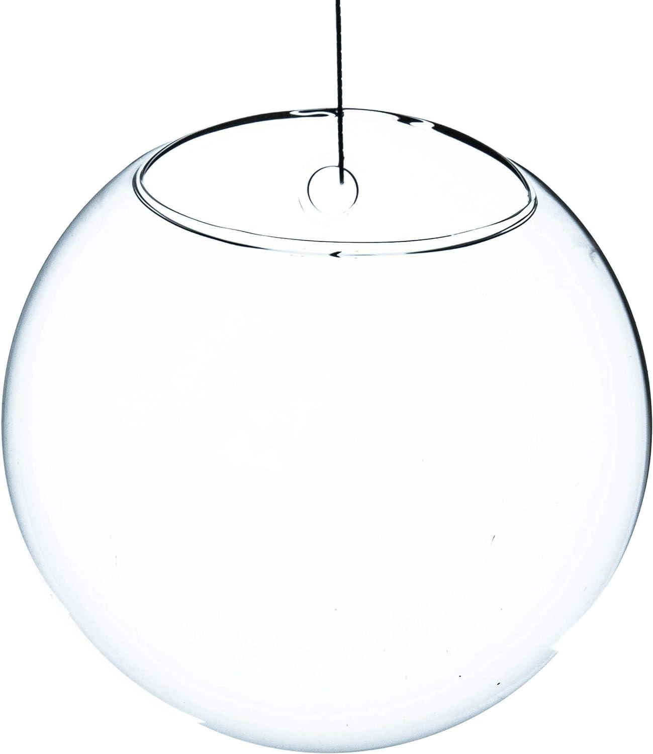 WGV Half Round Wall Hanging Terrarium - 6" Wide x 4" Depth, Good quality, Heavy Weighted Base - 1 Pc